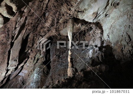 秋芳洞・石筍 秋芳洞・石筍 101867031