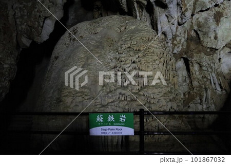 秋芳洞・蘇鉄岩 秋芳洞・蘇鉄岩 101867032