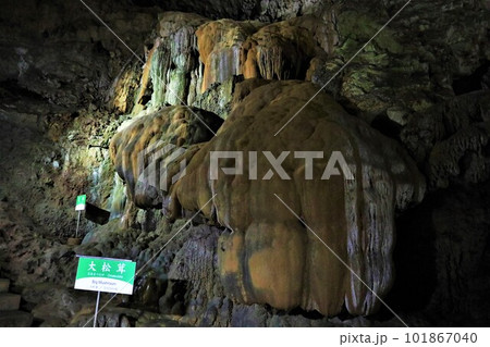 秋芳洞・大松茸 101867040