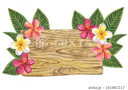 Frangipani, Plumeria wooden signboard. Green palm leaves yellow pink flowers. Jungle tropical exotic foliage. Hand-drawn watercolor illustration isolated. For design logo card poster label invitations 101867217