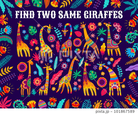 Find two same African giraffes, kids game worksheet with bright flowers, leaves and vector floral elements. Puzzle quiz to find two same objects of African animals and plants, riddle game worksheet Find two same African giraffes, kids game worksheet with bright flowers, leaves and vector floral elements. Puzzle quiz to find two same objects of African animals and plants, riddle game worksheet 101867589