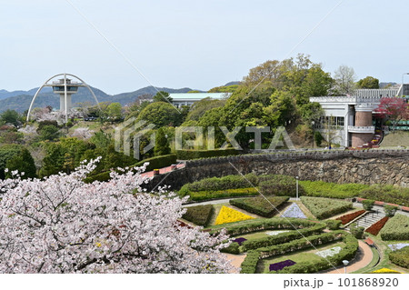 手柄山中央公園(姫路市)のサンクガーデン 手柄山中央公園(姫路市)のサンクガーデン 101868920