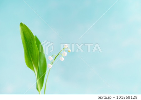 すずらんのフラワーフレーム 101869129