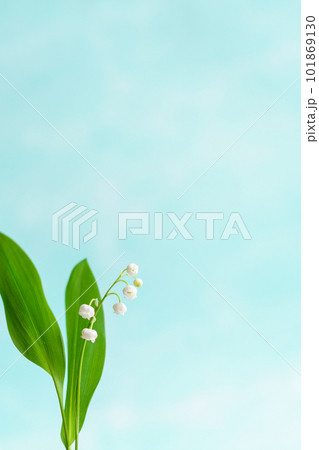 すずらんのフラワーフレーム すずらんのフラワーフレーム 101869130