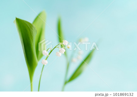 すずらんのフラワーフレーム 101869132