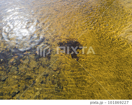 Worms floating in the water in a forest river with yellow sand and stones. Horizontal. 101869227