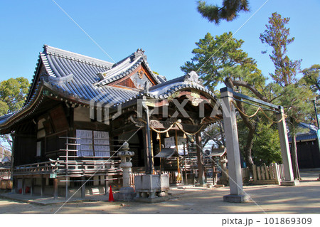 伊丹市宮之前 猪名野神社 伊丹市宮之前 猪名野神社 101869309