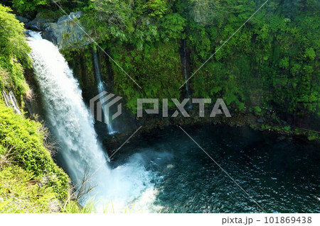 静岡県　初夏の新緑と音止の滝 101869438