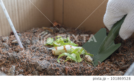 家庭でエコなダンボールコンポスト(堆肥づくり) イメージ 家庭でエコなダンボールコンポスト(堆肥づくり) イメージ 101869528
