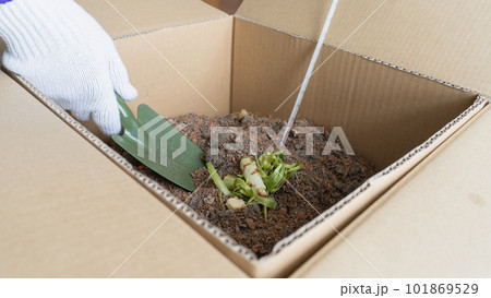 家庭でエコなダンボールコンポスト(堆肥づくり)　イメージ 101869529