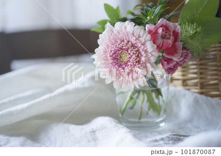 朝のテーブルの上の花 101870087