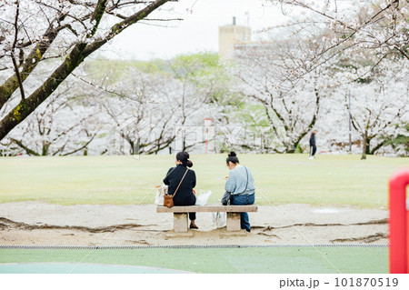花見をする女性の後姿 花見をする女性の後姿 101870519