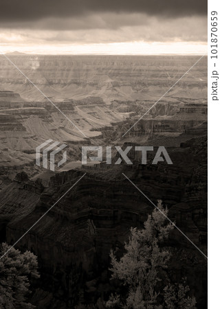 Infrared Sepia Tone Grand Canyon Arizona Infrared Sepia Tone Grand Canyon Arizona 101870659