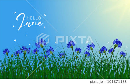 Welcome Summer Banner Welcome Summer Banner 101871183