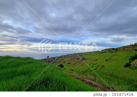 The green slope of an island in the Atlantic Ocean. 101871416