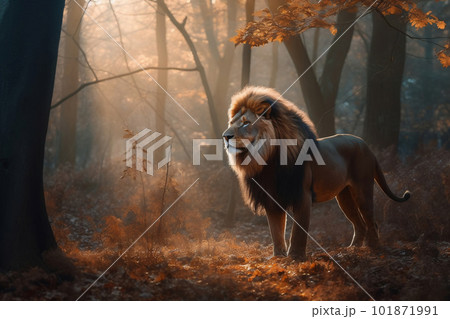 Majestic lion standing still in the forest. created with Generative AI 101871991