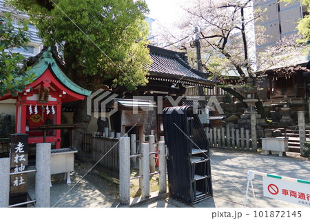 大阪天満宮境内の中にある摂社老松神社と蛭子門と老松社紅梅殿と白大夫社の風景 101872145