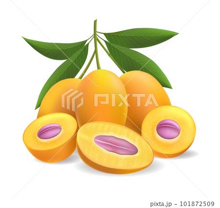 Ripe marian plums Ripe marian plums 101872509