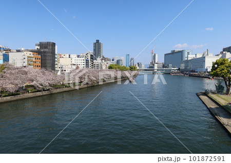 日本の川景色:大阪市内を流れる大川と南天満公園と桜と観光ボートの風景 日本の川景色:大阪市内を流れる大川と南天満公園と桜と観光ボートの風景 101872591