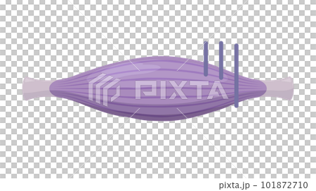 不健康な筋肉のイラスト 101872710