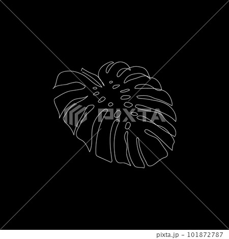 The single line art monstera leaf is white on a black background. Vector illustration The single line art monstera leaf is white on a black background. Vector illustration 101872787