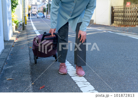 ショッピングカート、キャリーバッグで買い物に向かう途中で膝を痛めたシニアの女性　体調不良　高齢者 101872813