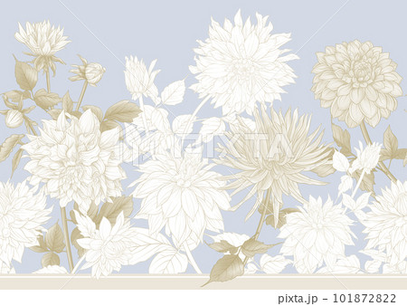 Dahlias flowers, outline Vector illustration.  101872822