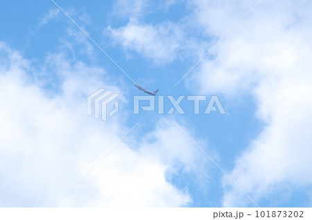 雲の割れ間の飛行機 101873202