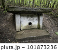 Dolmen. Rectangular structure made of stone slabs or carved into the rocks with a hole in the facade. Black Sea coast, Krasnodar area near Gelendzhik, Russia. 101873236