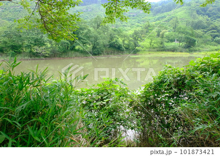 宇佐市（安心院町）　轟の池 101873421