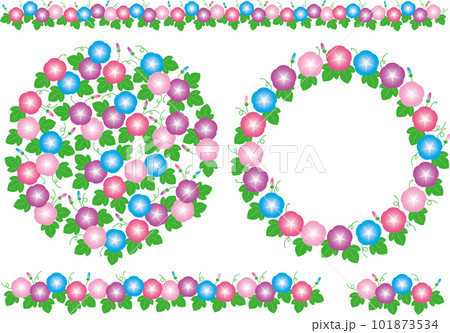 朝顔のイラスト素材 101873534