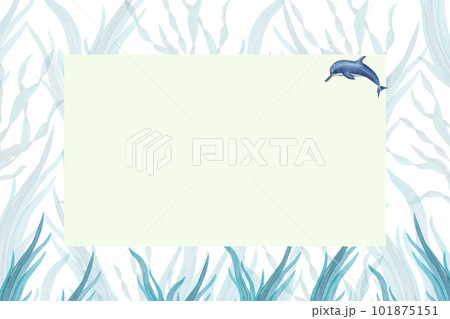 Watercolor frame in marine style isolated on white background. Illustration with dolphin and seaweed for postcard design, different invitation template, birthday card Watercolor frame in marine style isolated on white background. Illustration with dolphin and seaweed for postcard design, different invitation template, birthday card 101875151