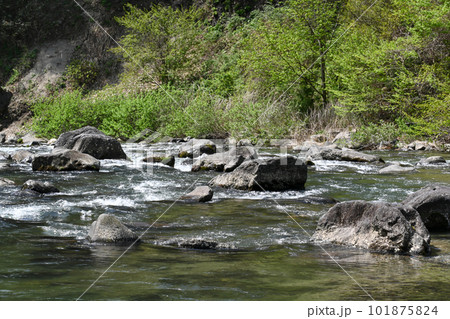 那珂川の清流と新緑【栃木県那須塩原市】 101875824