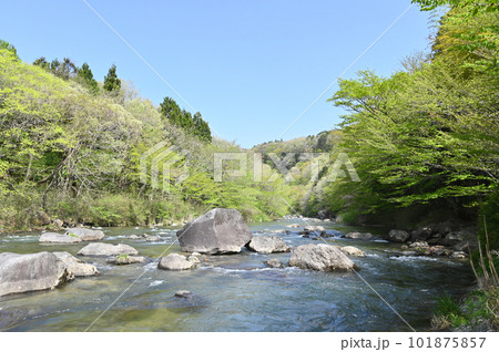 那珂川の清流と新緑【栃木県那須塩原市】 101875857