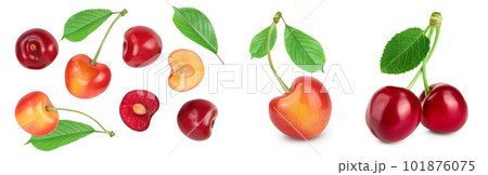 yellow-red sweet cherry isolated on white background . Top view. Flat lay 101876075