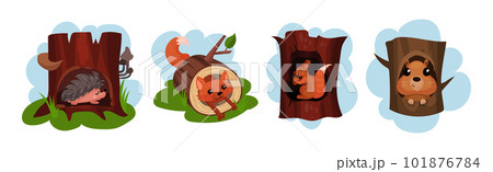 Funny Animals Sitting in Tree Hollow Vector Set 101876784