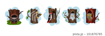 Funny Animals Sitting in Tree Hollow Vector Set Funny Animals Sitting in Tree Hollow Vector Set 101876785