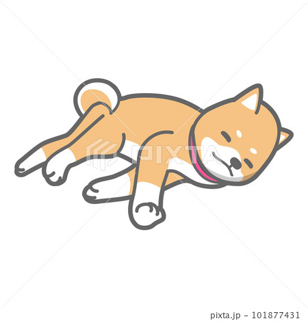 お昼寝中の柴犬のベクターイラスト 101877431