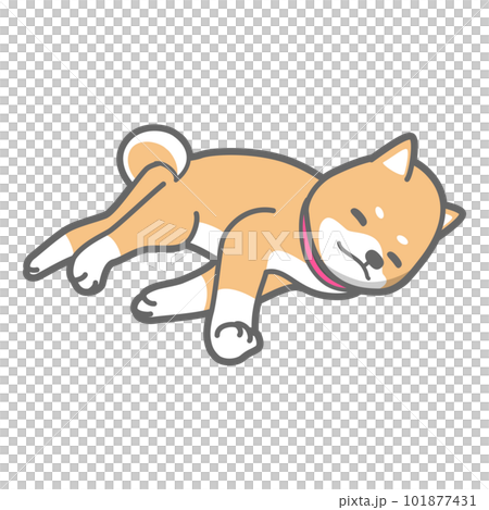 お昼寝中の柴犬のベクターイラスト 101877431