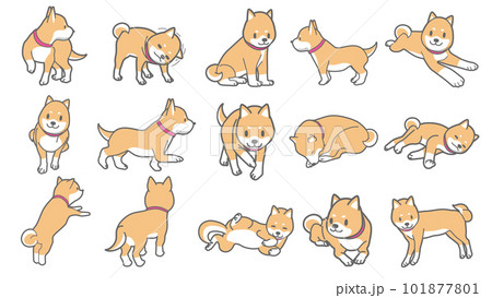 柴犬のベクターイラストセット 柴犬のベクターイラストセット 101877801