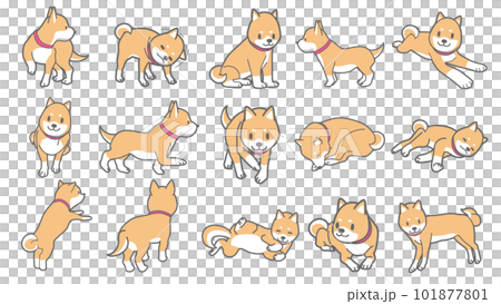 柴犬のベクターイラストセット 柴犬のベクターイラストセット 101877801