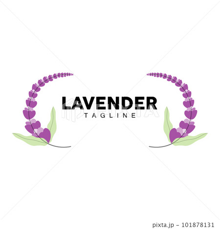 Lavender Logo, Hand Drawn Wedding Plant Design, Agriculture Vector, Symbol Illustration Template Icon 101878131