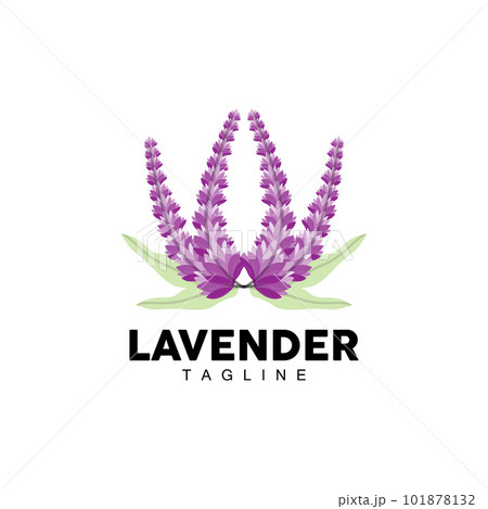 Lavender Logo, Hand Drawn Wedding Plant Design, Agriculture Vector, Symbol Illustration Template Icon 101878132
