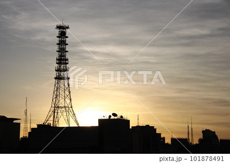 サンパウロ市の夕景とタワー　ブラジル 101878491