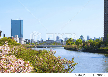 大阪市の街並みと初夏の大川 大阪市の街並みと初夏の大川 101878847