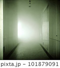 霧が立ち込め、薄暗くて不気味な廊下「AI生成画像」 101879091