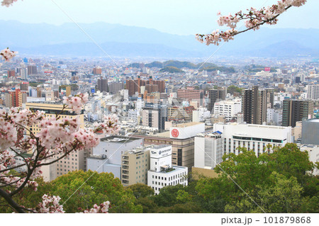 松山城からの眺望（愛媛県・松山市） 101879868