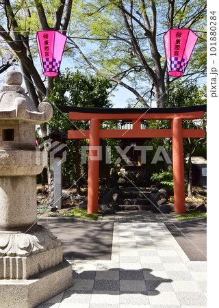 前橋市 前橋東照宮の営築稲荷神社と新緑 前橋市 前橋東照宮の営築稲荷神社と新緑 101880284