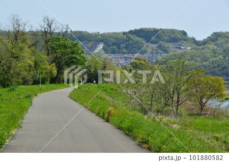 春の道 東京日野市浅川沿い 春の道 東京日野市浅川沿い 101880582