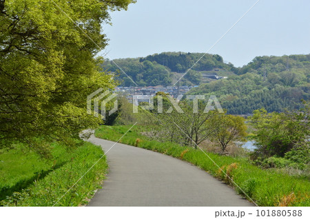 春の道 東京日野市浅川沿い 春の道 東京日野市浅川沿い 101880588